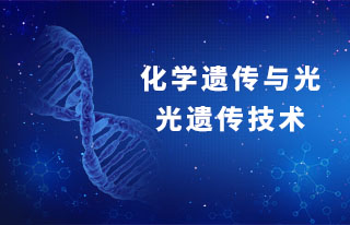 【前沿讲座】化学遗传与光遗传技术