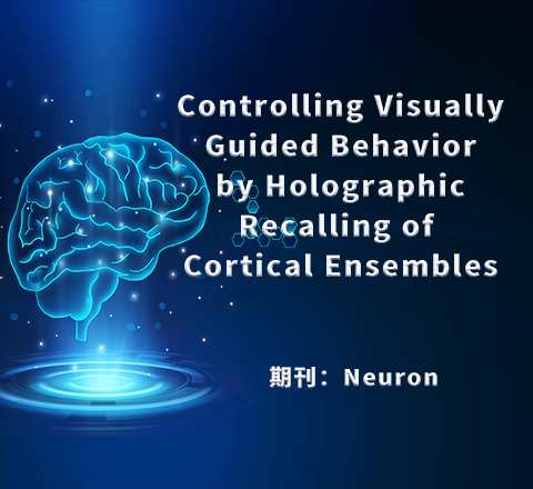 【文献解读】通过皮质神经元集合激活控制视觉引导行为