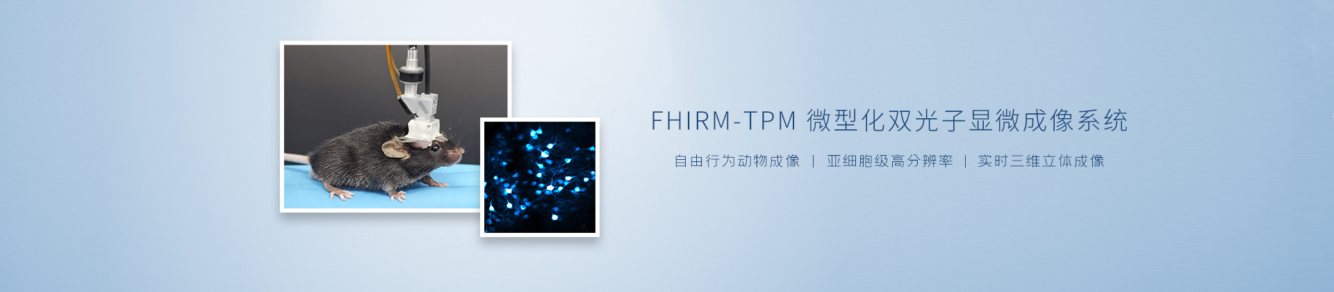 FHIRM-TPM微型化双光子显微成像系统
