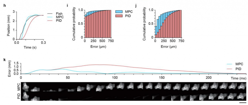 自由游动斑马鱼中细胞级分辨率的泛神经元钙成像
