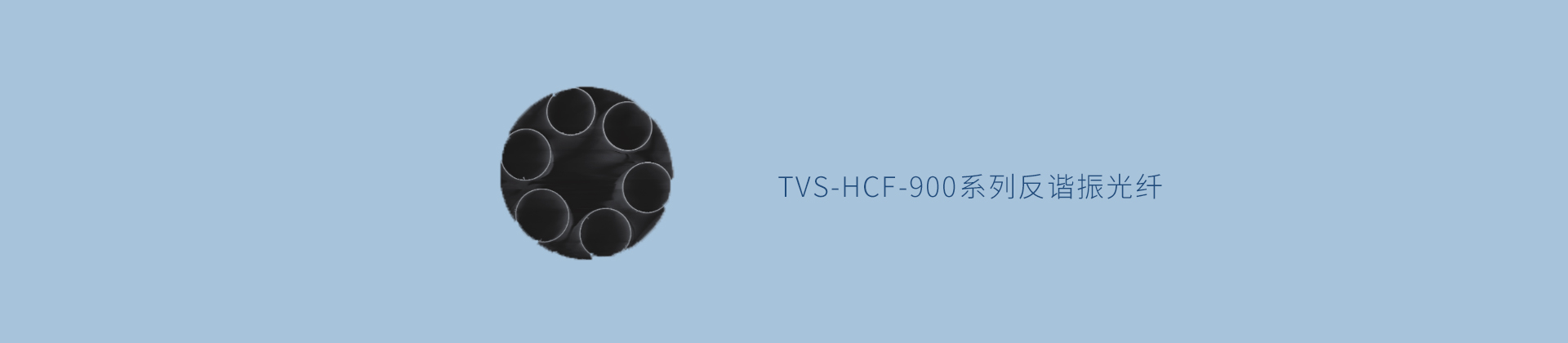 TVS-HCF-900系列反谐振光纤