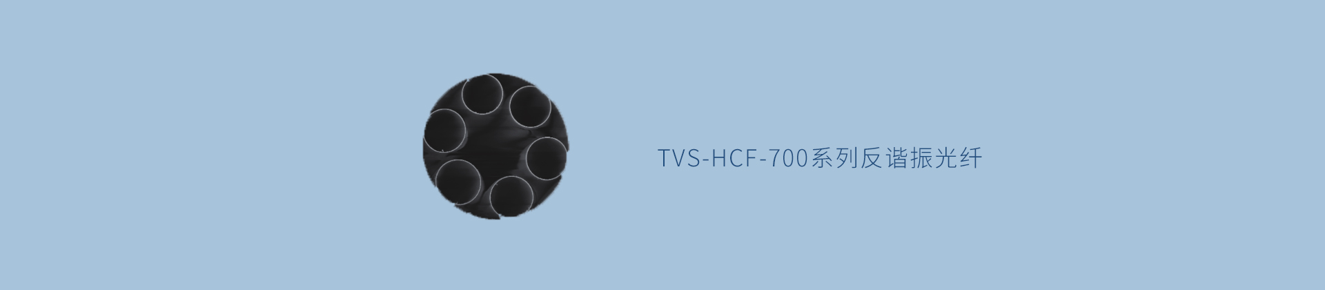 TVS-HCF-700系列反谐振光纤