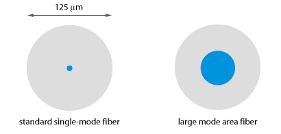 大芯光纤 Large-core fibers